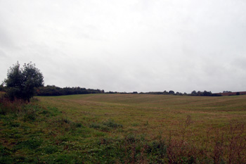 Linslade Wood seen from Stoke Road October 2008